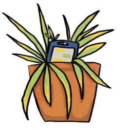 phone plant